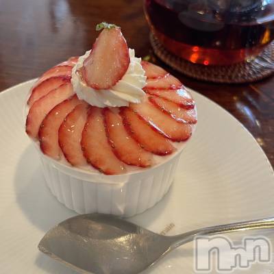 ��ˬ����Х��顦����֥���� �ץ���� ��ˬ(����� �ץ���� ����) �¼ �����1��24���̥�֥�����🍓ྀི��