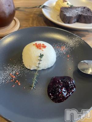 ��ˬ����Х��顦����֥���� �ץ���� ��ˬ(����� �ץ���� ����) �¼ �����1��28���̥�֥�����🐶��