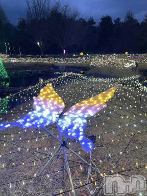 ��ˬ����Х��顦����֥���� �ץ���� ��ˬ(����� �ץ���� ����) �¼ �����2��1���̥�֥�����🫶��