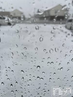 ��ˬ����Х��顦����֥���� �ץ���� ��ˬ(����� �ץ���� ����) �¼ �����3��5���̥�֥�����🤍��