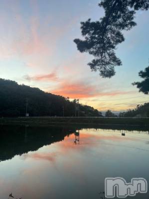 ��ˬ����Х��顦����֥���� �ץ���� ��ˬ(����� �ץ���� ����) �¼ �����3��6���̥�֥�����🤍��