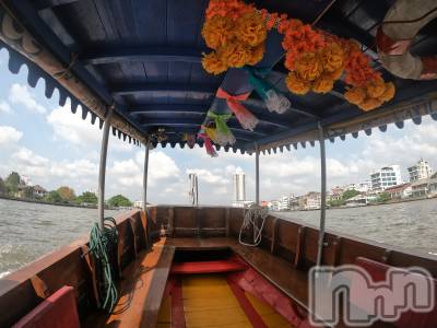 ��ˬ����Х��顦����֥���� �ץ���� ��ˬ(����� �ץ���� ����) �¼ �����4��5���̥�֥�����🤍��