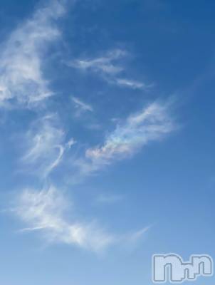 ��ˬ����Х��顦����֥���� �ץ���� ��ˬ(����� �ץ���� ����) �¼ �����4��11���̥�֥�����🤍��