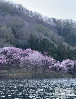 ��ˬ����Х��顦����֥���� �ץ���� ��ˬ(����� �ץ���� ����) �¼ �����4��22���̥�֥�����🤍��