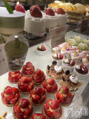 ��ˬ����Х��顦����֥���� �ץ���� ��ˬ(����� �ץ���� ����) �¼ �����4��28���̥�֥�����🤍��