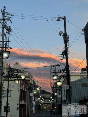 ��ˬ����Х��顦����֥���� �ץ���� ��ˬ(����� �ץ���� ����) �¼ �����7��8���̥�֥�����🤍��