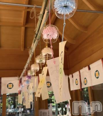 ��ˬ����Х��顦����֥���� �ץ���� ��ˬ(����� �ץ���� ����) �¼ �����7��18���̥�֥�����🤍��