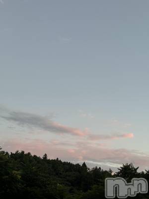 ��ˬ����Х��顦����֥���� �ץ���� ��ˬ(����� �ץ���� ����) �¼ �����7��26���̥�֥�����🤍��