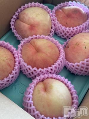 ��ˬ����Х��顦����֥���� �ץ���� ��ˬ(����� �ץ���� ����) �¼ �����8��16���̥�֥�����🤍��