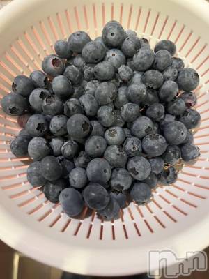 ��ˬ����Х��顦����֥���� �ץ���� ��ˬ(����� �ץ���� ����) �¼ �����8��30���̥�֥�����🤍��