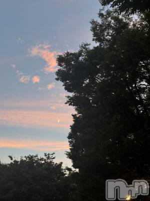 ��ˬ����Х��顦����֥���� �ץ���� ��ˬ(����� �ץ���� ����) �¼ �����9��1���̥�֥�����🤍��