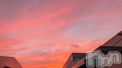 ��ˬ����Х��顦����֥���� �ץ���� ��ˬ(����� �ץ���� ����) �¼ �����9��4���̥�֥�����🤍��