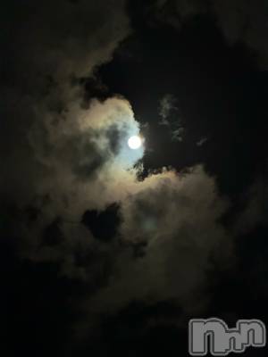 ��ˬ����Х��顦����֥���� �ץ���� ��ˬ(����� �ץ���� ����) �¼ �����10��7���̥�֥�����🤍��