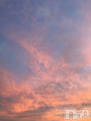 ��ˬ����Х��顦����֥���� �ץ���� ��ˬ(����� �ץ���� ����) �¼ �����10��16���̥�֥�����🤍��