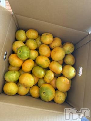 ��ˬ����Х��顦����֥���� �ץ���� ��ˬ(����� �ץ���� ����) �¼ �����11��6���̥�֥�����🤍��