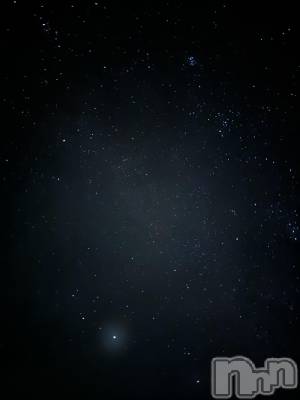 ��ˬ����Х��顦����֥���� �ץ���� ��ˬ(����� �ץ���� ����) �¼ �����11��12���̥�֥�����🤍��