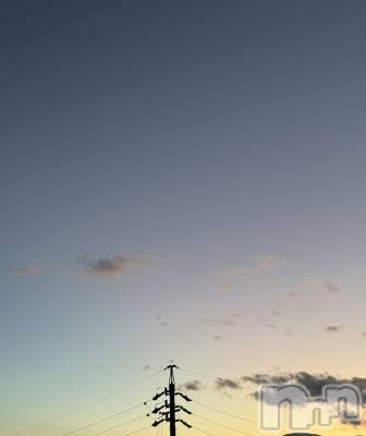 ��ˬ����Х��顦����֥���� �ץ���� ��ˬ(����� �ץ���� ����) �¼ �����11��15���̥�֥�����🤍��