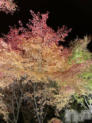 ��ˬ����Х��顦����֥���� �ץ���� ��ˬ(����� �ץ���� ����) �¼ �����11��25���̥�֥�����🤍��