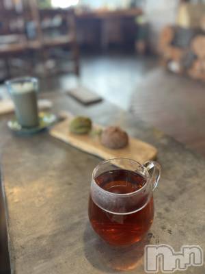 ��ˬ����Х��顦����֥���� �ץ���� ��ˬ(����� �ץ���� ����) �¼ �����12��2���̥�֥�����🤍��