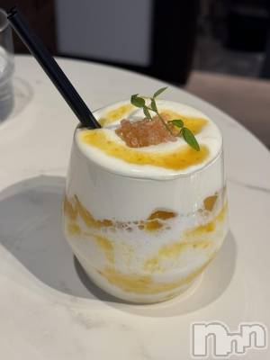 ��ˬ����Х��顦����֥���� �ץ���� ��ˬ(����� �ץ���� ����) �¼ �����12��12���̥�֥�����🤍��