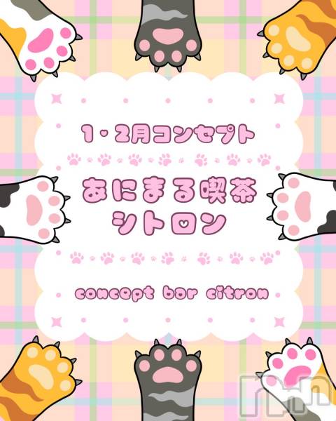 ��Į���ʥå��������륺�С�concept bar Citron(���󥻥ץȥС����ȥ���) �� 2026ǯ2��2���̥�֥�����1.2��Υ��󥻥ץȡ�