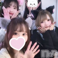 concept bar Citron フォトギャラリー画像1