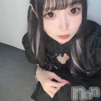 concept bar Citron フォトギャラリー画像4