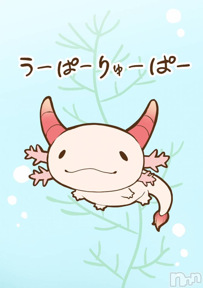 上越デリヘル上越最安値！奥様Deli急便(ジョウエツサイヤスネ！オクサマデリキュウビン) 新人　じゅん(33)の9月13日写メブログ「来週は」