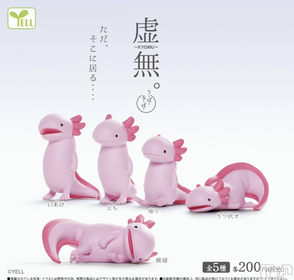上越デリヘル上越最安値！奥様Deli急便(ジョウエツサイヤスネ！オクサマデリキュウビン) 新人　じゅん(33)の9月29日写メブログ「28日のお礼」