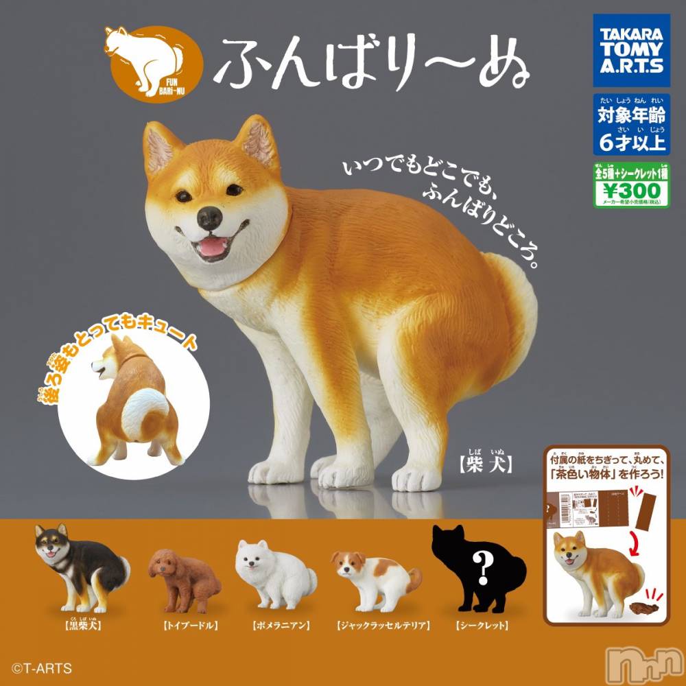 上越デリヘル上越最安値！奥様Deli急便(ジョウエツサイヤスネ！オクサマデリキュウビン) 新人　じゅん(33)の11月18日写メブログ「16日お礼日記2」