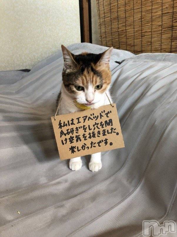 上越デリヘル上越最安値！奥様Deli急便(ジョウエツサイヤスネ！オクサマデリキュウビン)新人　じゅん(33)の2024年7月23日写メブログ「たまには」