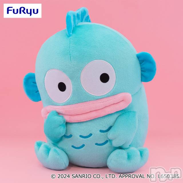 上越デリヘル上越最安値！奥様Deli急便(ジョウエツサイヤスネ！オクサマデリキュウビン)新人　じゅん(33)の2024年8月30日写メブログ「来週」