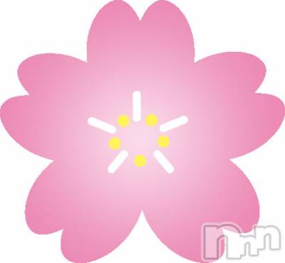 上越デリヘル 上越最安値！奥様Deli急便(ジョウエツサイヤスネ！オクサマデリキュウビン) 新人　じゅん(33)の4月1日写メブログ「花見」