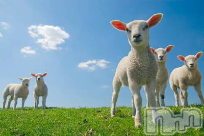 上越デリヘル 上越最安値！奥様Deli急便(ジョウエツサイヤスネ！オクサマデリキュウビン) 新人　じゅん(33)の4月6日写メブログ「こんにちは」