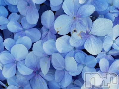 上越デリヘル 上越最安値！奥様Deli急便(ジョウエツサイヤスネ！オクサマデリキュウビン) 新人　じゅん(33)の4月17日写メブログ「でもね」