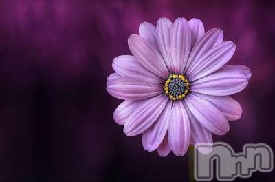 上越デリヘル 上越最安値！奥様Deli急便(ジョウエツサイヤスネ！オクサマデリキュウビン) 新人　じゅん(33)の4月18日写メブログ「あわわわ」