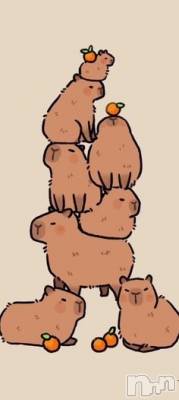 上越デリヘル 上越最安値！奥様Deli急便(ジョウエツサイヤスネ！オクサマデリキュウビン) 新人　じゅん(33)の4月19日写メブログ「でも」