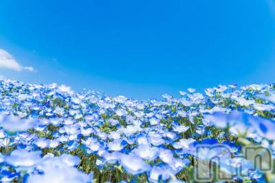 上越デリヘル 上越最安値！奥様Deli急便(ジョウエツサイヤスネ！オクサマデリキュウビン) 新人　じゅん(33)の4月28日写メブログ「モヤモヤして」