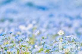 上越デリヘル 上越最安値！奥様Deli急便(ジョウエツサイヤスネ！オクサマデリキュウビン) 新人　じゅん(33)の5月17日写メブログ「5月13日お礼1」