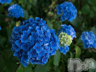 上越デリヘル 上越最安値！奥様Deli急便(ジョウエツサイヤスネ！オクサマデリキュウビン) 新人　じゅん(33)の6月7日写メブログ「いよいよ」