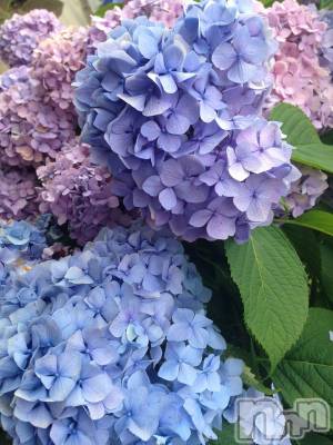 上越デリヘル 上越最安値！奥様Deli急便(ジョウエツサイヤスネ！オクサマデリキュウビン) 新人　じゅん(33)の6月14日写メブログ「暑いのも」