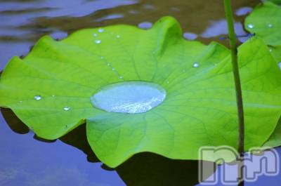 上越デリヘル 上越最安値！奥様Deli急便(ジョウエツサイヤスネ！オクサマデリキュウビン) 新人　じゅん(33)の6月18日写メブログ「涼しい」