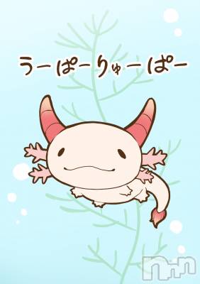 上越デリヘル 上越最安値！奥様Deli急便(ジョウエツサイヤスネ！オクサマデリキュウビン) 新人　じゅん(33)の9月13日写メブログ「来週は」