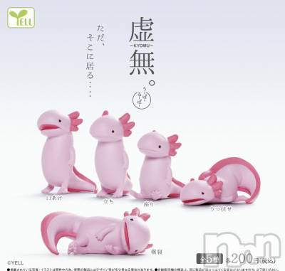 上越デリヘル 上越最安値！奥様Deli急便(ジョウエツサイヤスネ！オクサマデリキュウビン) 新人　じゅん(33)の9月29日写メブログ「28日のお礼」