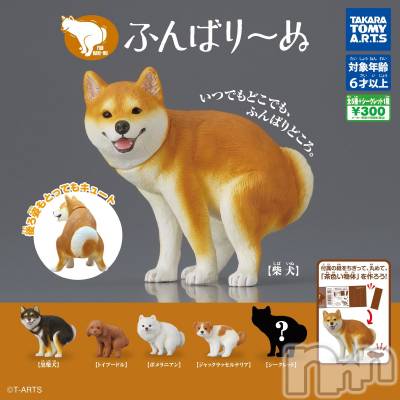 上越デリヘル 上越最安値！奥様Deli急便(ジョウエツサイヤスネ！オクサマデリキュウビン) 新人　じゅん(33)の11月18日写メブログ「16日お礼日記2」