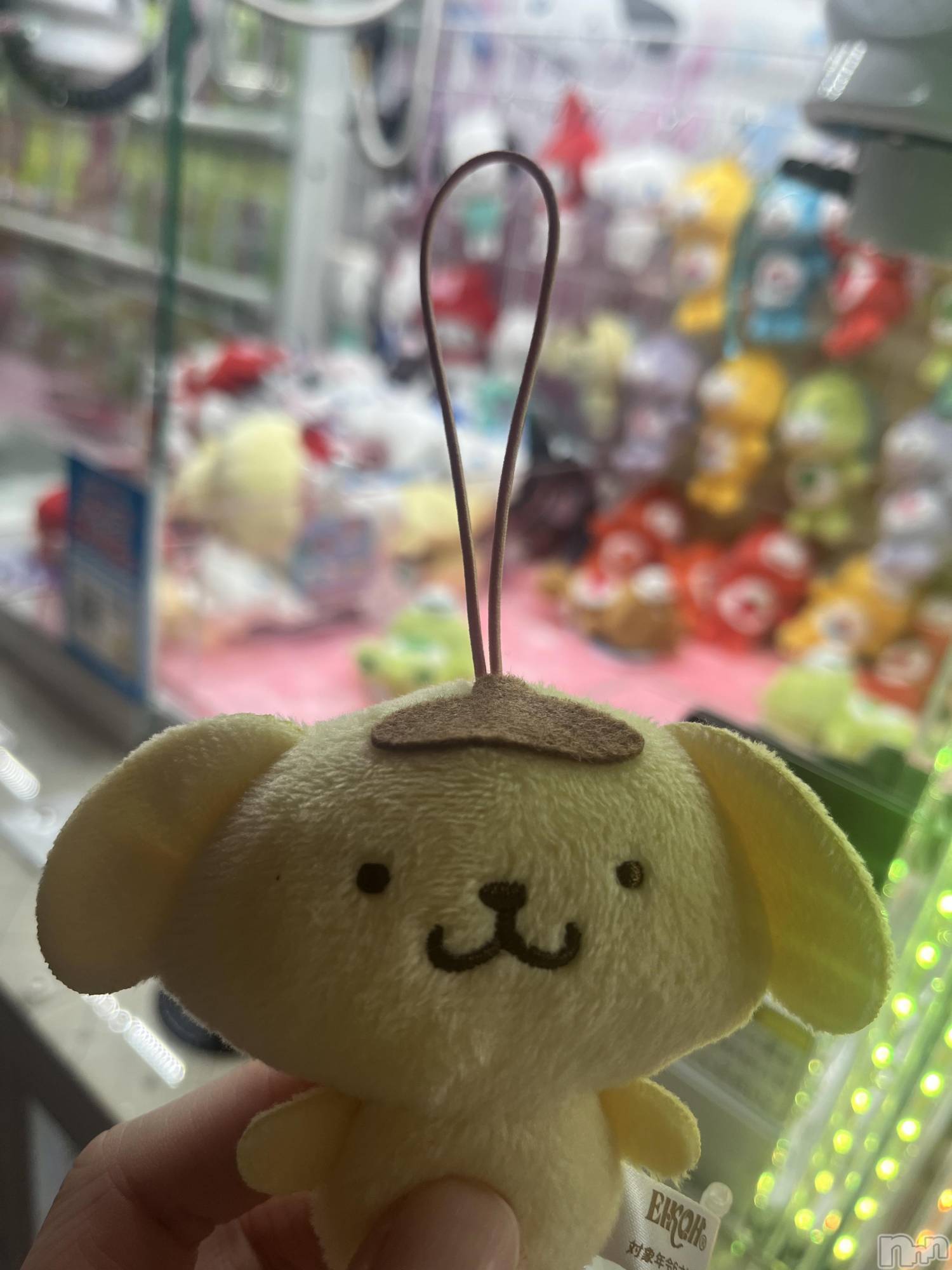 Ĺ�����������襳��ѥ˥��󥯥�ֻ��򥳥�ѥ˥��󥯥�� Amour(���ࡼ��) ��2025ǯ12��26���̥�֥����֥����Ǽ��🍜��