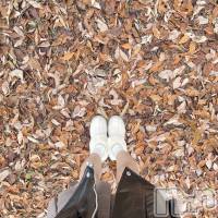 Įʥå륺Сconcept bar Citron(󥻥ץȥСȥ) ʤ(22)1125ָ̥֥ϤդȤ錄