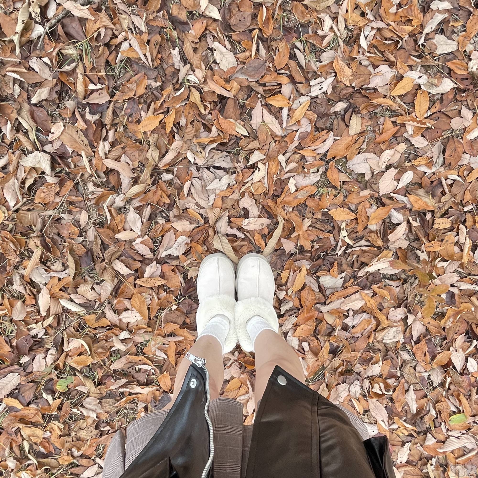 Įʥå륺Сconcept bar Citron(󥻥ץȥСȥ) 2025ǯ1125ָ̥֥ϤդȤ錄