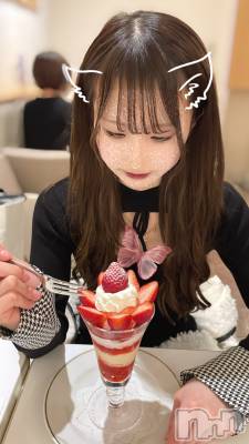 ʤ(22) Ĺ153cmĮʥå륺С concept bar Citron(󥻥ץȥСȥ)ҡ