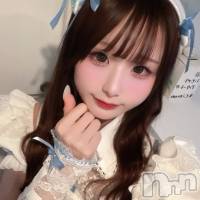 ʤ(22) Ĺ153cmĮʥå륺С concept bar Citron(󥻥ץȥСȥ)ҡ